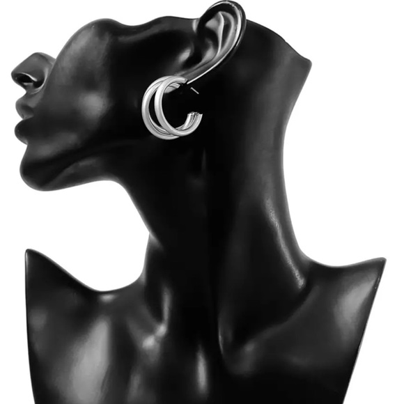 Silver Multi-Tube Earrings - Picture 2 of 4